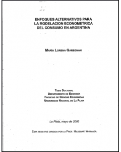 Enfoques alternativos para la modelación econométrica del consumo en Argentina