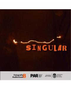Singular: Miradas desde, por y para la educación pública