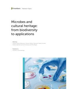 Microbes and cultural heritage: from biodiversity to applications