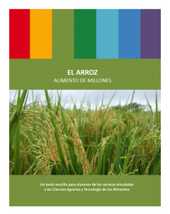 El arroz: Alimento de millones